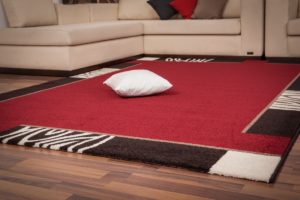 tapis-accueil