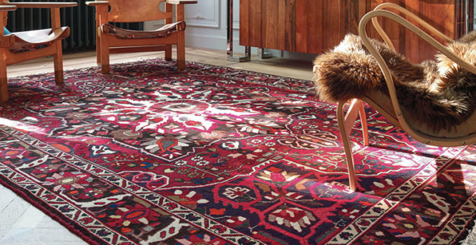 Nettoyer du pipi de chien sur tapis à saint Cloud