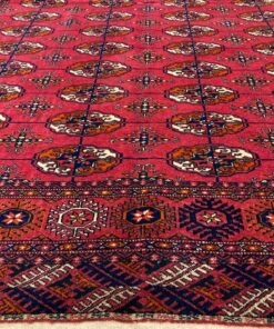 Tapis Boukhara 9 IMG 4908
