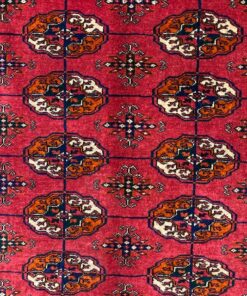 Tapis Boukhara 10 IMG 4909