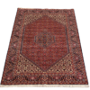 Tapis Bidjar 16 PhotoRoom 20201124 195330