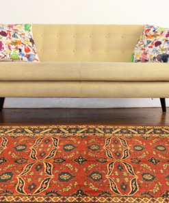 PhotoRoom 20201126 183116